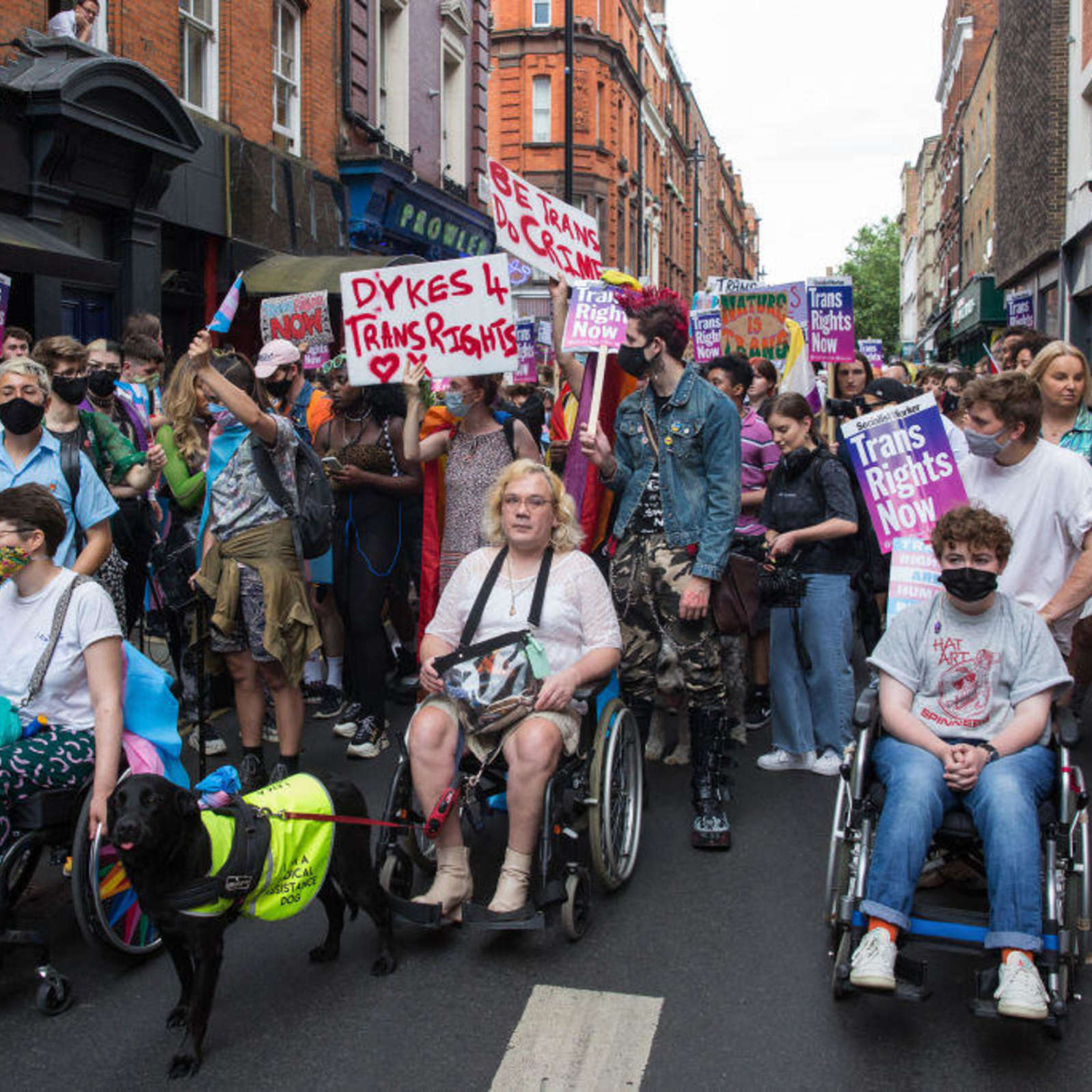 Disability activists push for more inclusive Pride celebrations content media