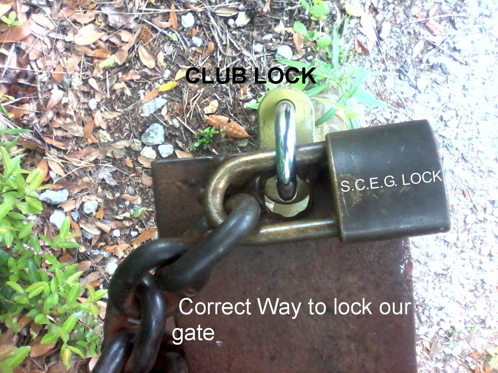 Friendly reminder to members content media