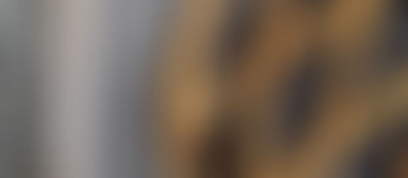 CROSTATA DELLA NONNA