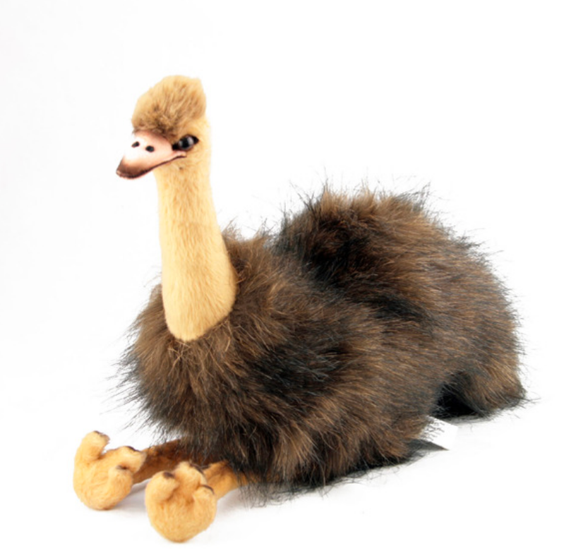 Why I M A Fan Of Emu Oil For Eczema