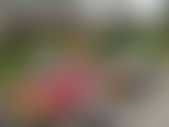 Birthday boy raises food donations