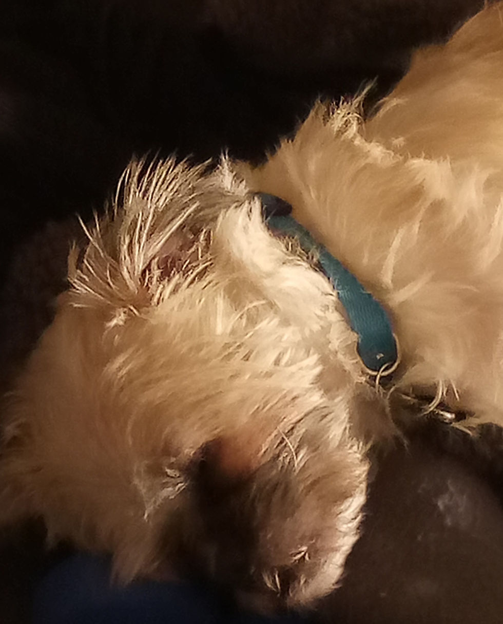 Fendy sleeping