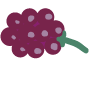 illustration of purple berry on a green stalk