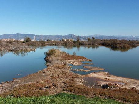 World Wetland Day