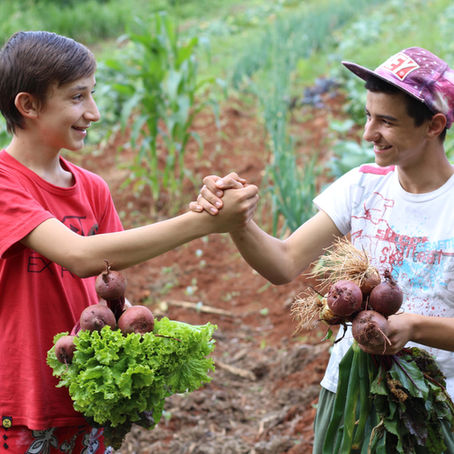 Programa de agroecologia completa dois anos