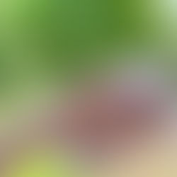 窓の結露をすぐに解決｜結露の発生原因と対策