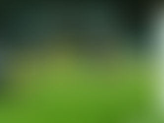 3-0 hemma. Bara resten kvar nu!