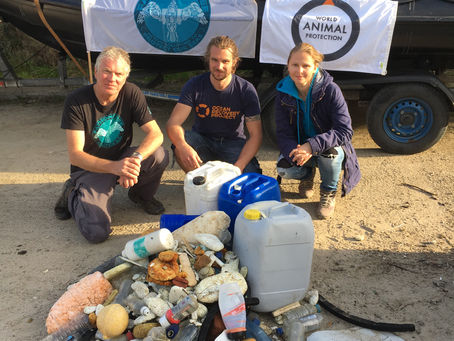 World Clean Up Day