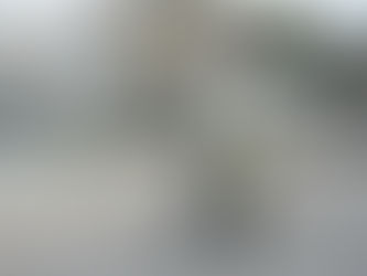 Molière in bicicletta (2013)