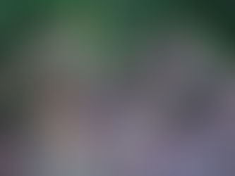 Hacia la cultura del regalo II