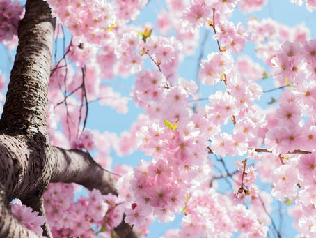 April 2020 Grey Matters