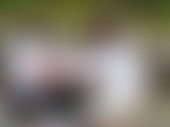 我的瑜伽旅程 / My Yoga Journey