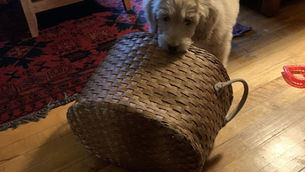 Bisbee Wire/Resources