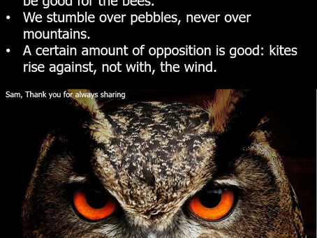 And the wise owl said...