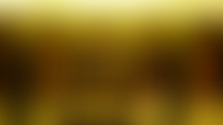 A Look Inside Hotel Saint Louis