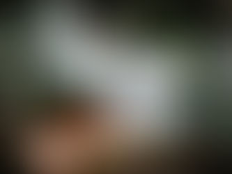 Grow Your Blog Community