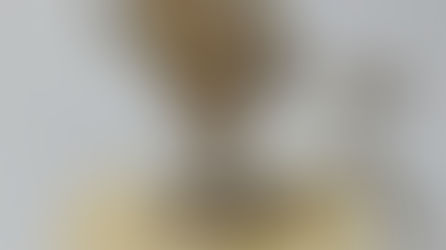 9月の展示はエクトール展