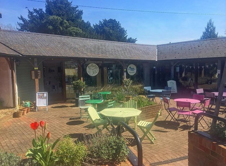 What’s Coming Up in June at The Sheep Shed Gallery and Tearoom...