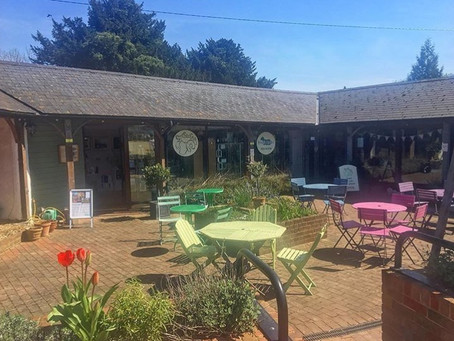 What’s Coming Up in June at The Sheep Shed Gallery and Tearoom...
