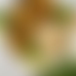 Gluten Free Dried Basil Cauliflower Bite