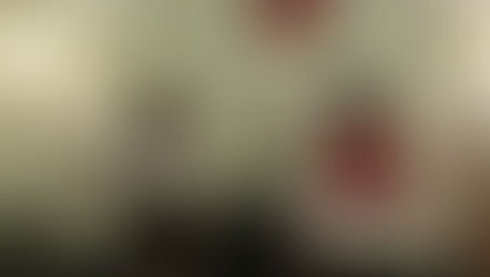 HONDURAS Y REPÚBLICA DOMINICANA INTERCAMBIAN EXPERIENCIAS DE INCLUSIÓN SOCIAL.