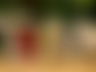 YSA - Empowering the next generation of global
entrepreneurs