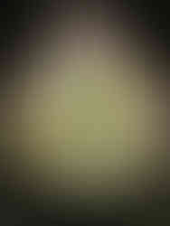 Original window described again