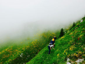 Ackerdemiker*innen in Bella Italia