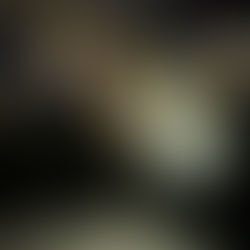 Parents’ evenings are dead