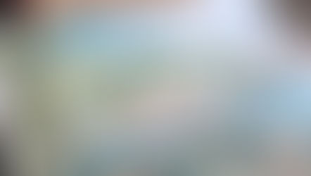 Promenade au château de Nice , 