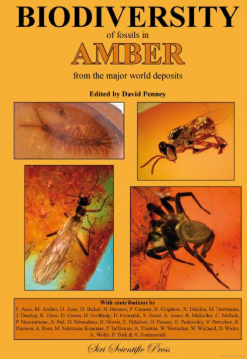 Biodiversity of fossils in AMBER from the major world deposits content media