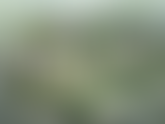 [2015] 김포한강신도시 Ac-05BL 공동주택 건설공사