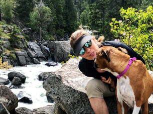 How The Pandemic Can Help You Socialize Your Boxer