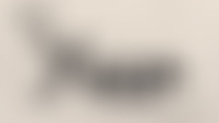 Sneak Peak - For a Year