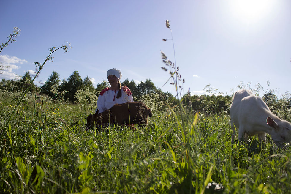 Путь к покорению Instagram лежит через "Краину мар"