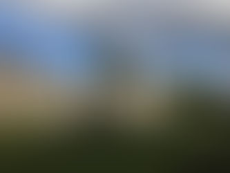 Expedient de caducitat de drets funeraris de diversos nínxols