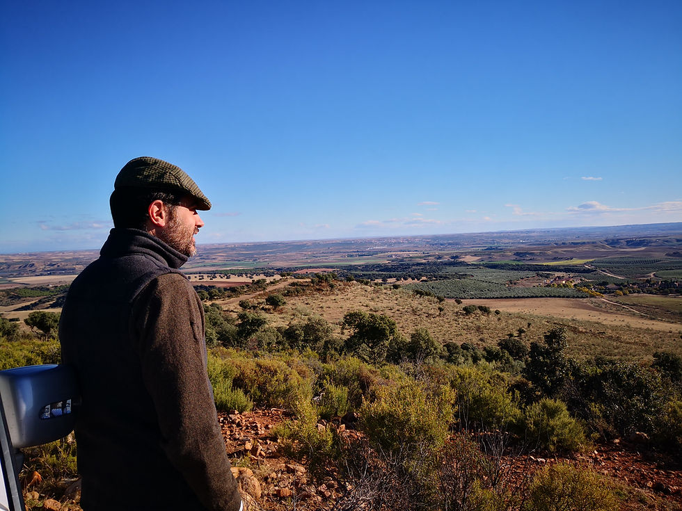 Bild: José Antonio Peche Marín-Lázaros Blick schweift in die Ferne. Das 3 200 Hektar umfassende Land Hualdos mit seinen Tälern, Wäldern, 280 000 Olivenbäumen, vielen hundert Wildschweinen, Mufflons, Hirschen, Füchsen, 1 500 Manchego-Schafen, Mais- und Rapsfeldern und dem Fluss Tajo liegt zwischen ihm und dem Horizont. Seit 19 Jahren leitet Peche Marín-Lázaros das wohl schönste Olivengut der Welt - Casas de Hualdo.