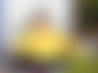 구충곤 화순군수, 민선 7기 출범 1년을 맞은 소회를 밝히고 “향후 3년은 백신으로- 팔로우뉴스(followNEWS.kr)