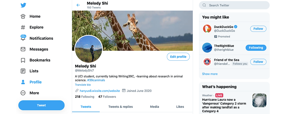 Final Twitter Update