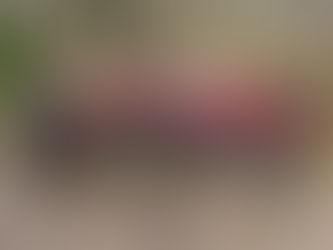 Sortie "costauds " du 15/12