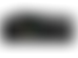 In safe hands - Master Lock’s Biometric Security Safe