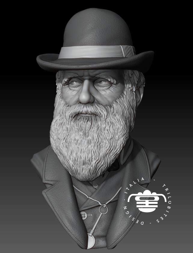 Busto modello Darwin 3D content media