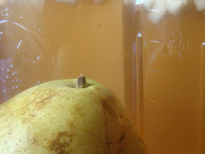 Ginger Pear Kombucha