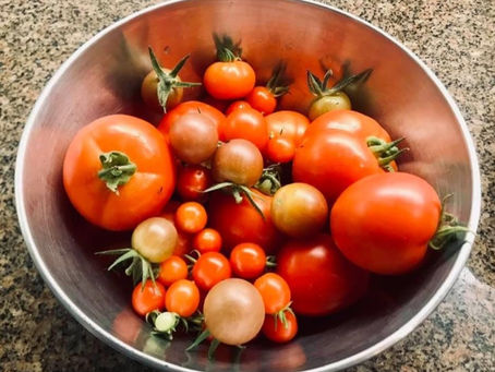 Summer Garden-Bigger & Better-July Harvest