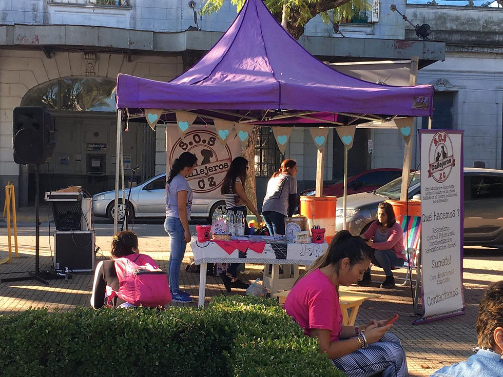Con una jornada de adopción responsable de mascotas, se conmemoró el Día del animal


