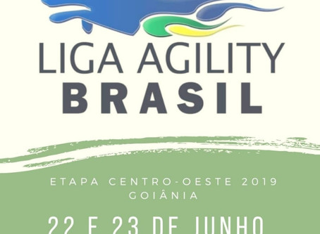 Liga Agility Brasil - Para somar