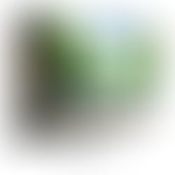 14 Sure-Fire Father’s Day Gifts