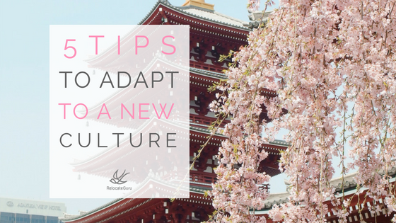 5 Tips to adapt to your new culture