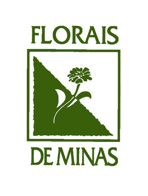 Floral: O que é e quais são os benefícios da terapia.