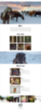 Blogueur français 2020- Le Crash Test